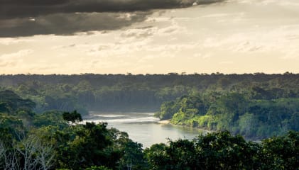 Tambopata National Reserve