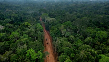 Yasuni National Park